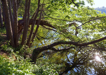 Similar image 1535057