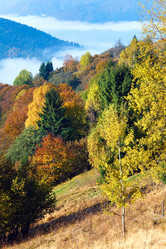 Similar image 1535059