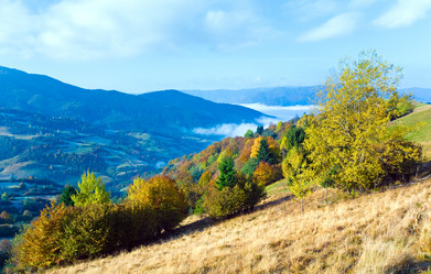 Similar image 1535067