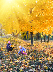 Similar image 1535076