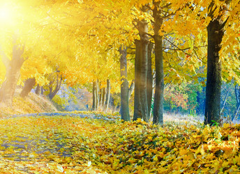 Similar image 1535077