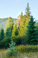 Similar image 1535081