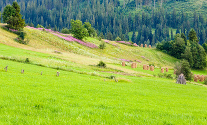 Similar image 1535118