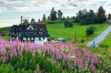 Similar image 1535120