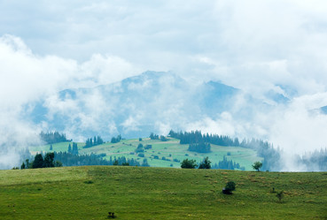 Similar image 1535124