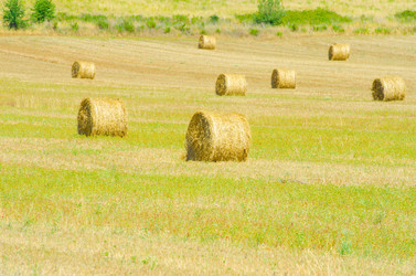 Similar image 1535155