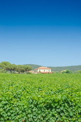 Similar image 1535157