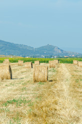 Similar image 1535188