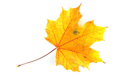 Similar image 1535329