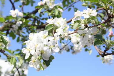 Similar image 1535454