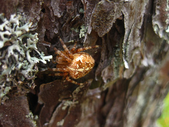 Similar image 1535488