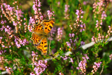 Similar image 1535489