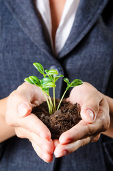 Similar image 1535535