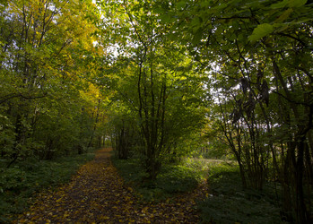 Similar image 1535618