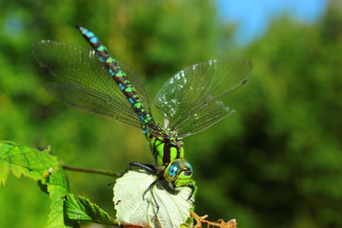 Similar image 1535625