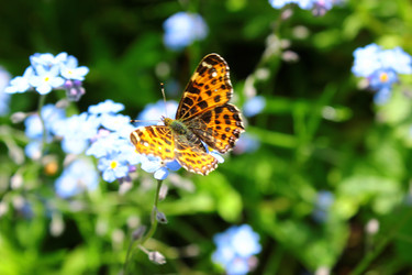 Similar image 1535626