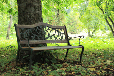 Similar image 1535627