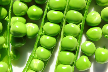 Similar image 1535628