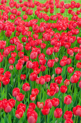 Similar image 1535649