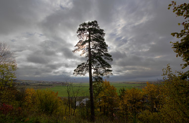 Similar image 1535722