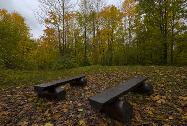 Similar image 1535723