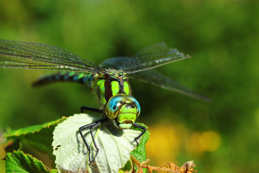 Similar image 1535727