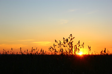 Similar image 1535728