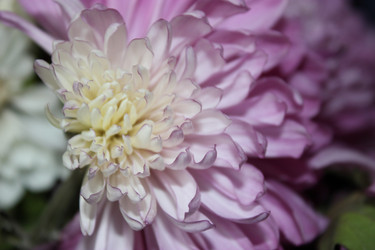 Similar image 1535729