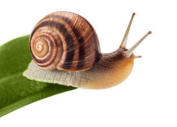 Similar image 1535761