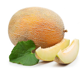 Similar image 1535765