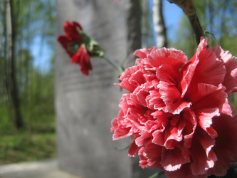 Similar image 1535769