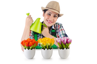 Similar image 1535812