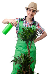 Similar image 1535826