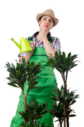 Similar image 1535827