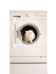 Similar image 1535920