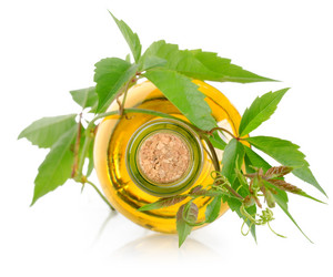 Similar image 1535984