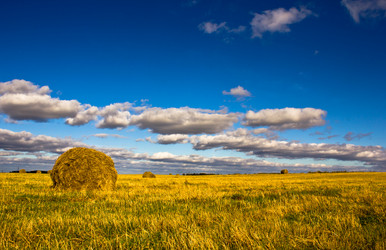 Similar image 1535999