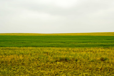 Similar image 1536000