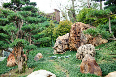 Similar image 1536019