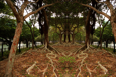 Similar image 1536021