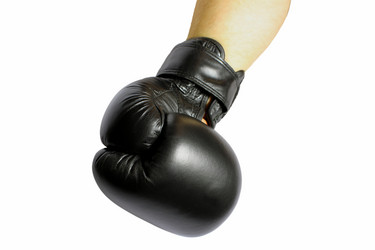 Similar image 1536034