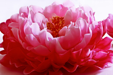 Similar image 1536044