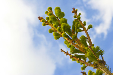 Similar image 1536045