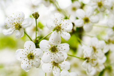 Similar image 1536046