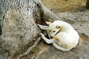 Similar image 1536047