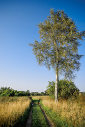 Similar image 1536057