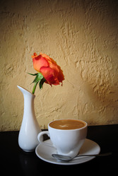 Similar image 1536059