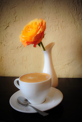 Similar image 1536060