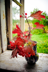 Similar image 1536061