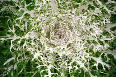 Similar image 1536062